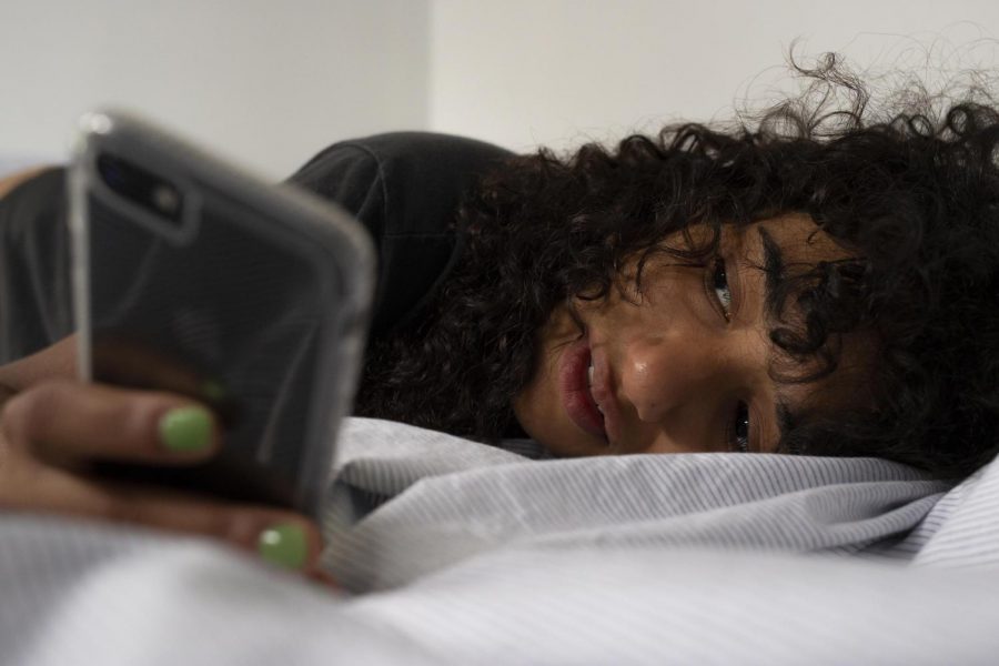 Lola lies in bed after being banned from PayPal. (Photo by Katie Peurrung)